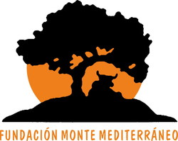 fundacionmontemediterraneo