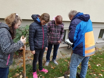 Gemeinsames Projekt BVJ Grundstufe Gärtner LBZH Hildesheim