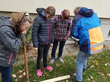 Gemeinsames Projekt BVJ Grundstufe Gärtner LBZH Hildesheim