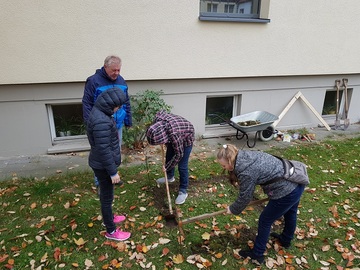 Gemeinsames Projekt BVJ Grundstufe Gärtner LBZH Hildesheim