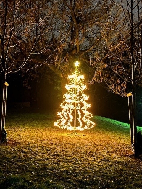 Auf dem Bild sieht man einen erleuchteten Weihnachtsbaum. Er steht auf einer Grünfläche zwischen Bäumen.