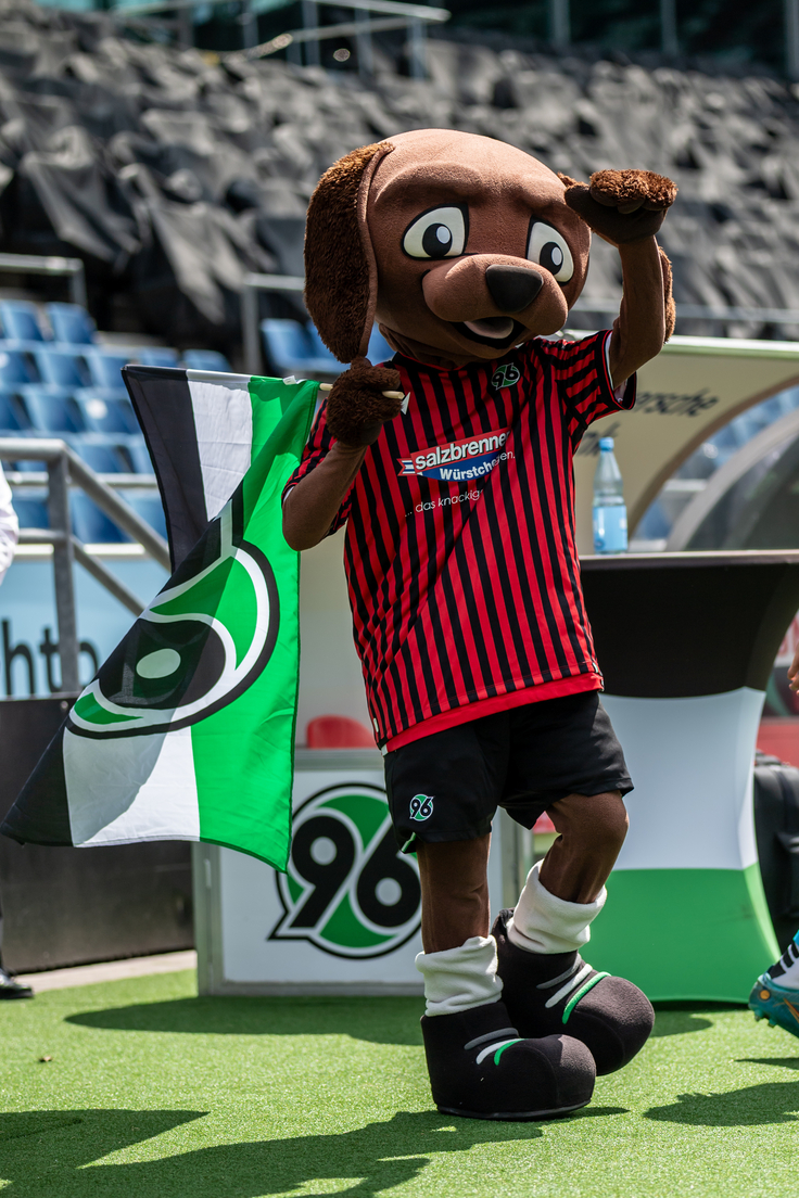 Auf dem Foto ist das Maskottchen EDDI von Hannover 96, dem Fußballverein zu sehen. Es ist ein verkleideter Mensch. Er trägt einen braunen Hundekopf, lange Handschuhe in Hundetatzenform und dicke Fußballschuhe in Schwarz mit grünweißen Streifen.